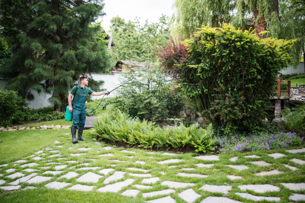 Best Wasp Removal Services  in Ethete, WY