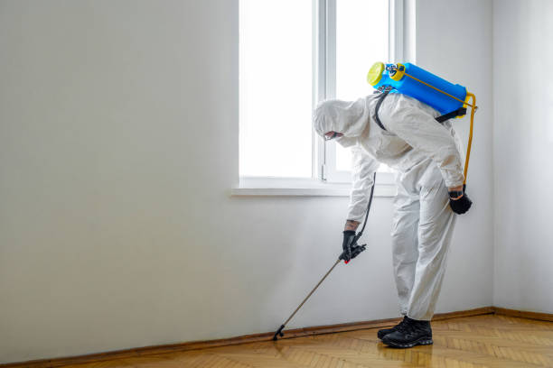 Best Commercial Pest Control Services  in Ethete, WY