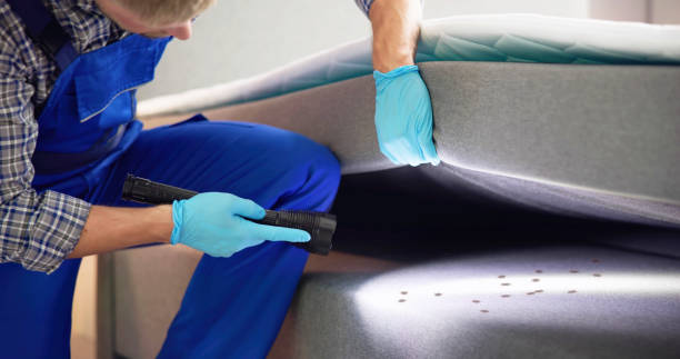 Best Pest Removal Services  in Ethete, WY