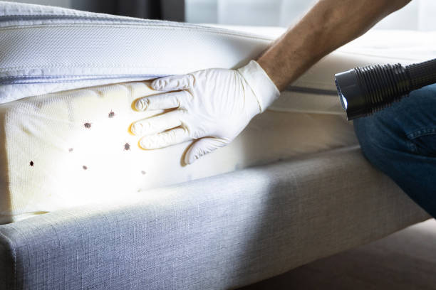 Best Pest Prevention Services  in Ethete, WY