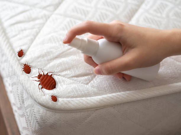 Best Exterminator Services  in Ethete, WY