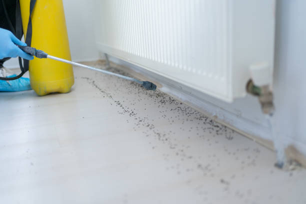 Best Affordable Exterminators  in Ethete, WY